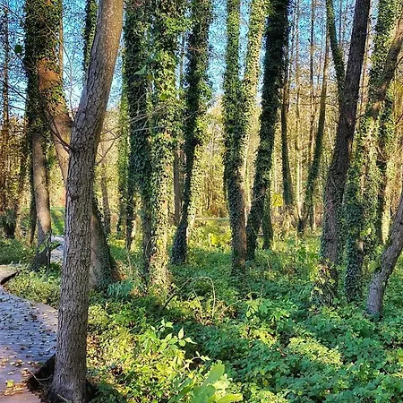 Kala Thermal Wellness *