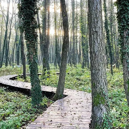 Kala Thermal Wellness Daire Zalakaros